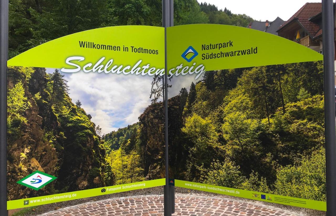 Ferienwohnung Schwarzwald Todtmoos Kültér fotó