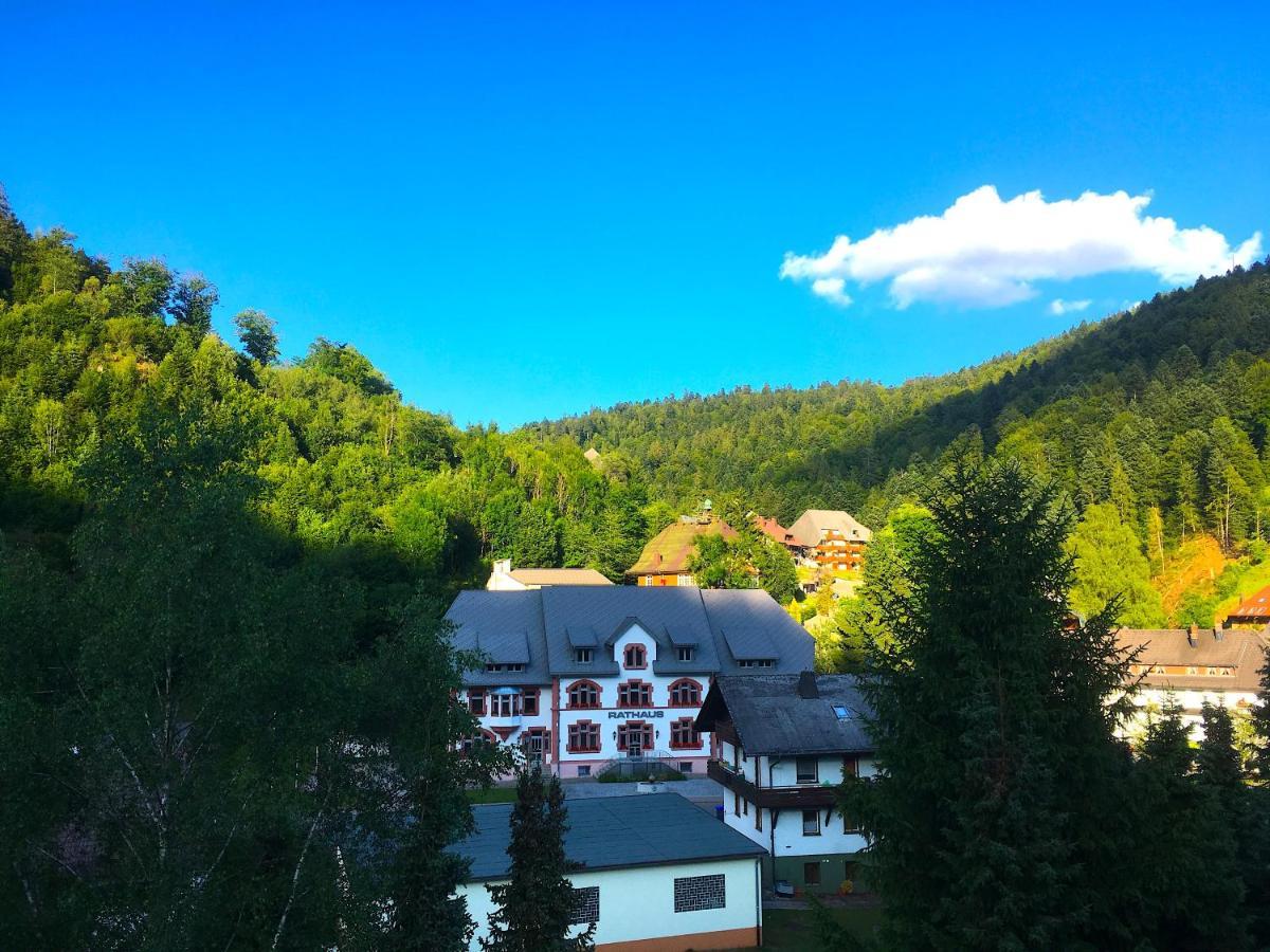Ferienwohnung Schwarzwald Todtmoos Kültér fotó
