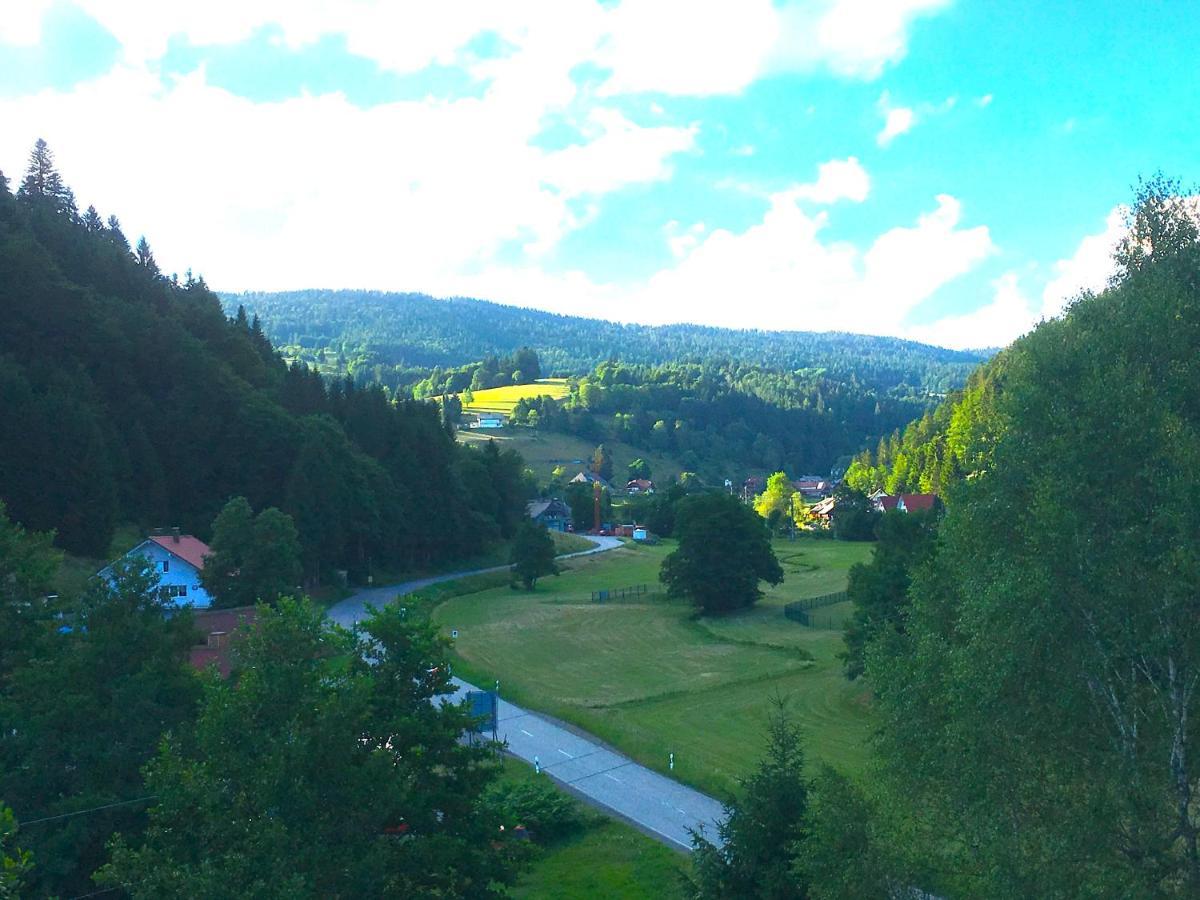 Ferienwohnung Schwarzwald Todtmoos Kültér fotó