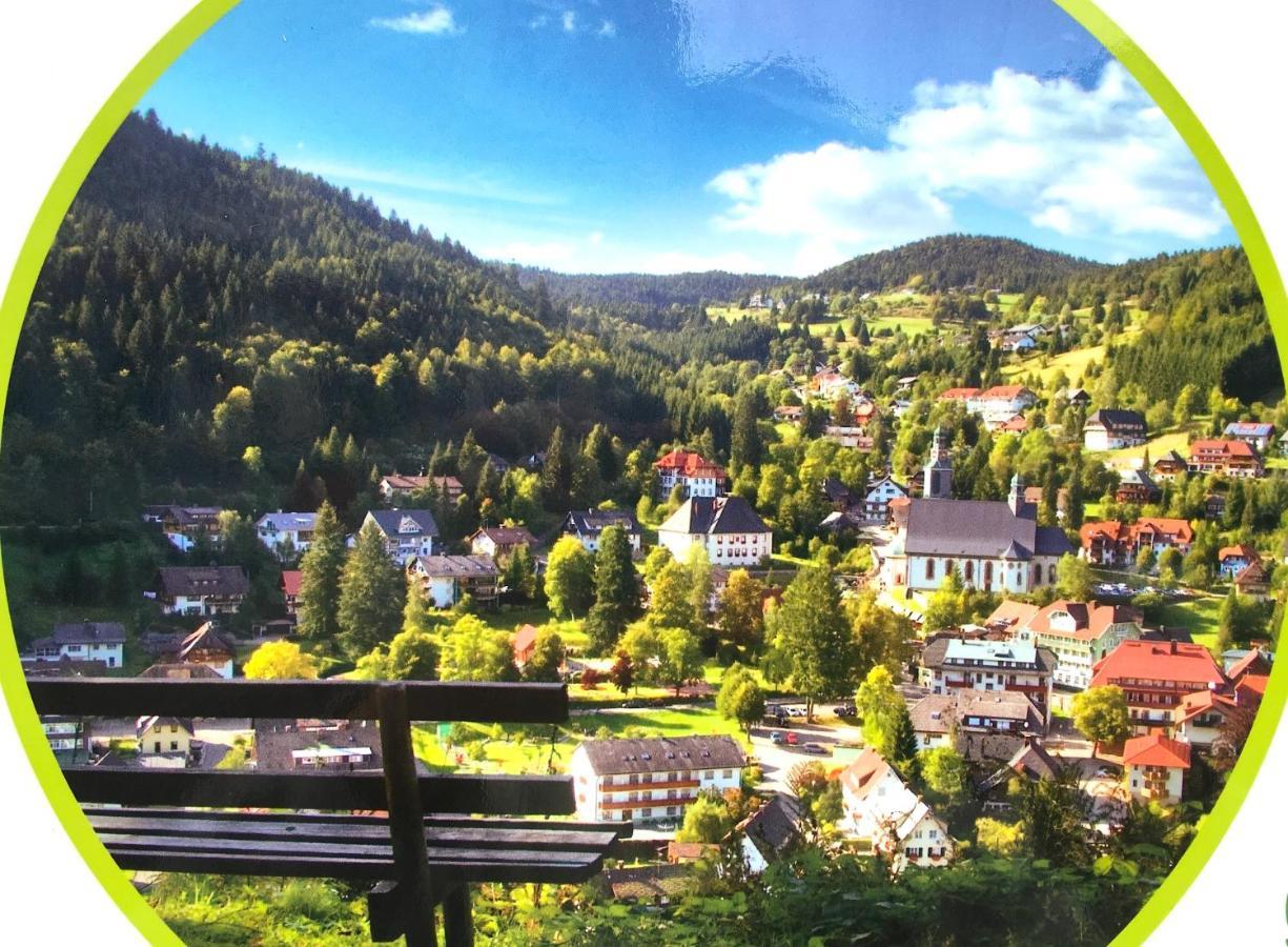 Ferienwohnung Schwarzwald Todtmoos Kültér fotó